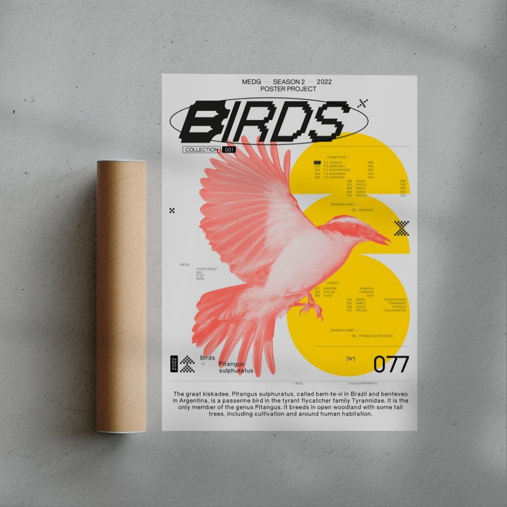 Birds