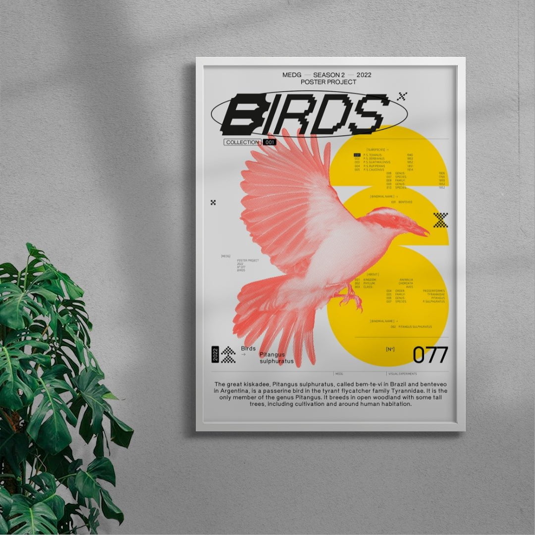 Birds