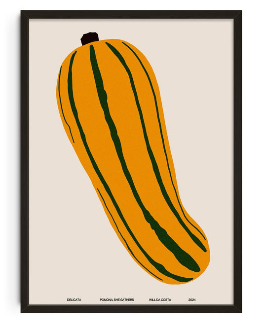 Delicata